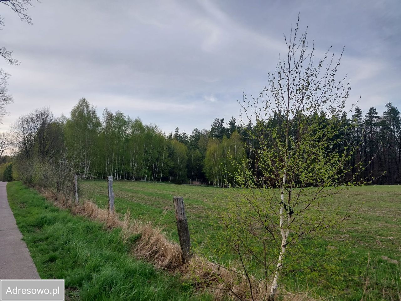 Działka budowlana Zagórzyca. Zdjęcie 10