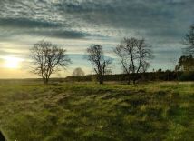 Działka budowlana Drzewce. Zdjęcie 3