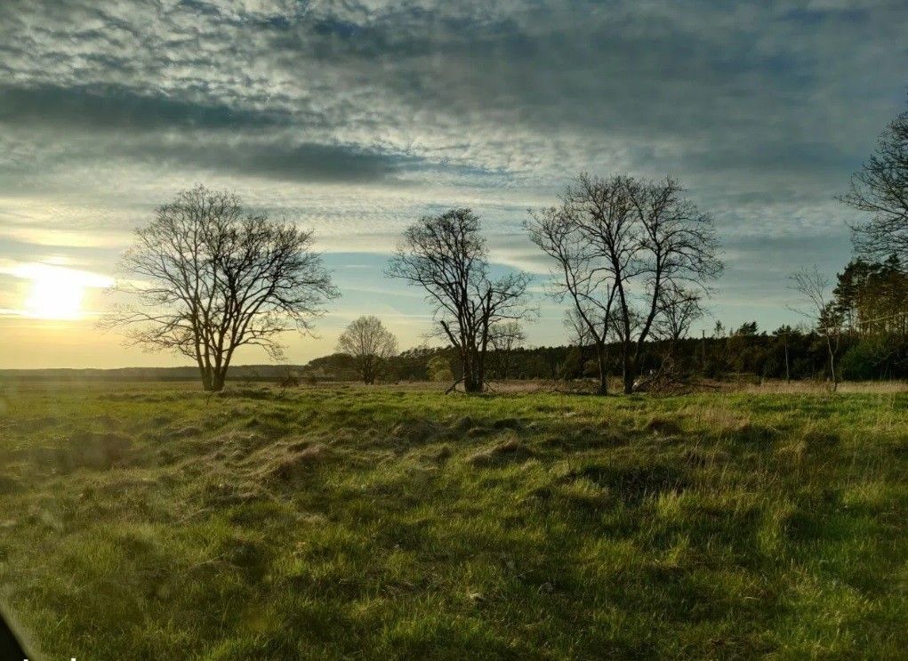 Działka budowlana Drzewce. Zdjęcie 4