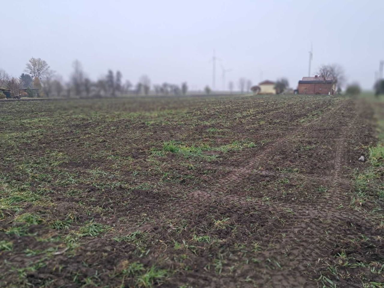 Działka budowlana Piotrków Kujawski, ul. Sadowa. Zdjęcie 7