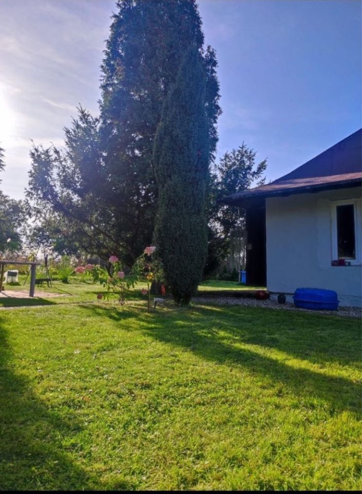 Działka rod Gliwice Sikornik. Zdjęcie 3