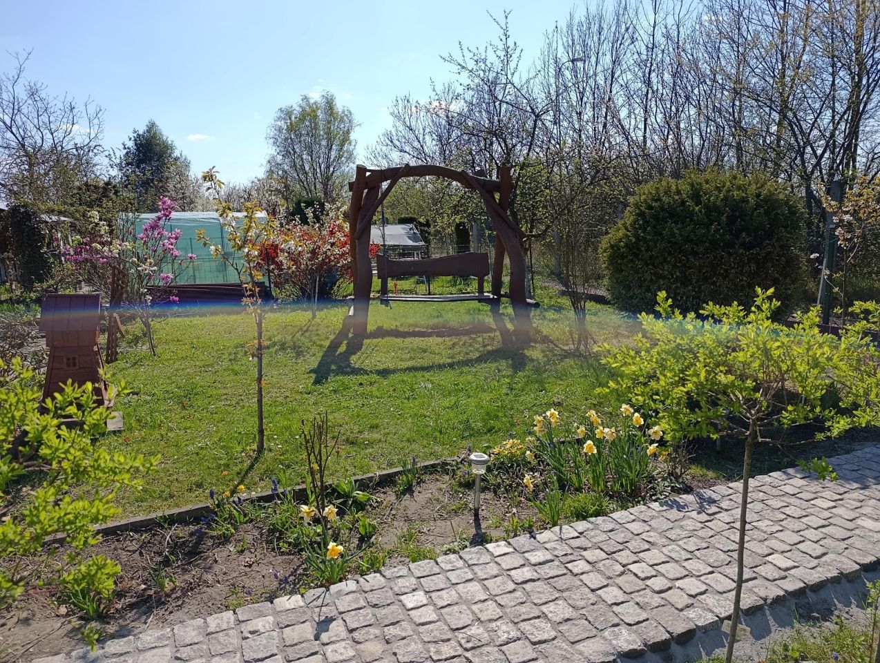 Działka rod Zabrze, ul. Wincentego Witosa. Zdjęcie 4