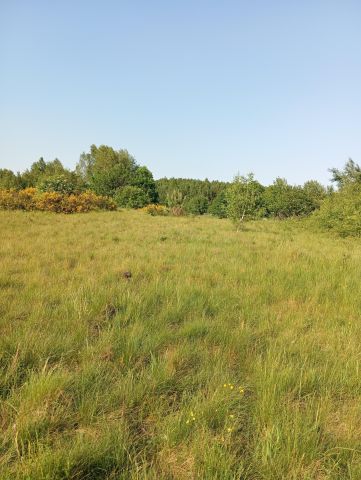 Działka rolno-budowlana Staniszewo Raj. Zdjęcie 1