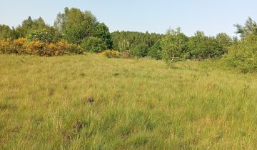 Działka rolno-budowlana Staniszewo Raj