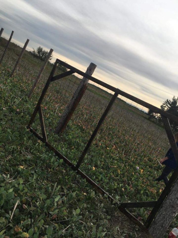 Działka budowlana Lipowa. Zdjęcie 8