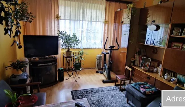 Mieszkanie 3-pokojowe Pasym