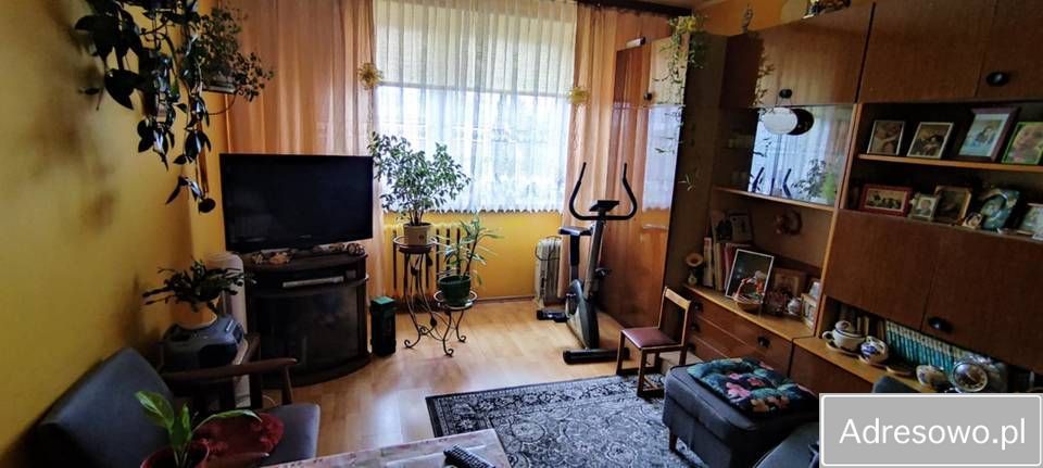 Mieszkanie 3-pokojowe Pasym