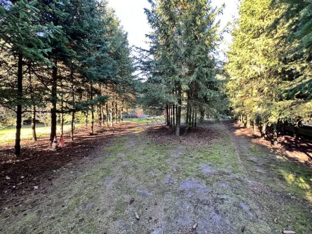 dom wolnostojący, 5 pokoi Lasocin. Zdjęcie 4