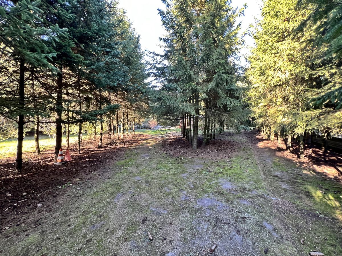 dom wolnostojący, 5 pokoi Lasocin. Zdjęcie 4