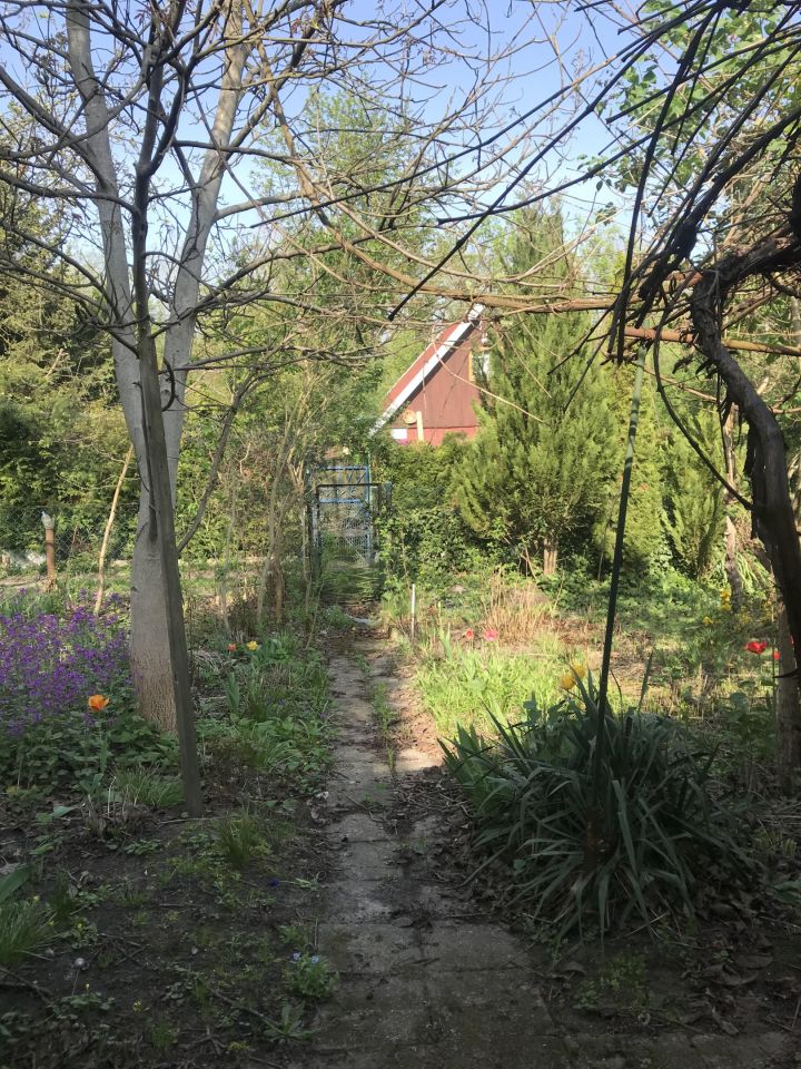 Działka rod Warszawa Włochy, ul. Ogrodników. Zdjęcie 5