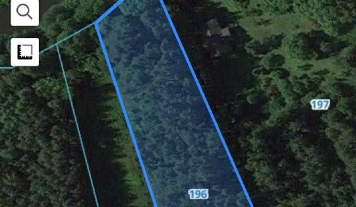 Działka leśna Ciechocin