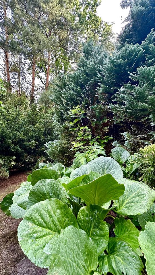 Działka budowlana Radom Śródmieście, ul. Małopolska. Zdjęcie 10