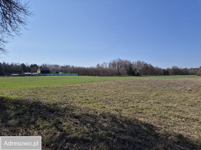 Działka rekreacyjna Chłopowo. Zdjęcie 1