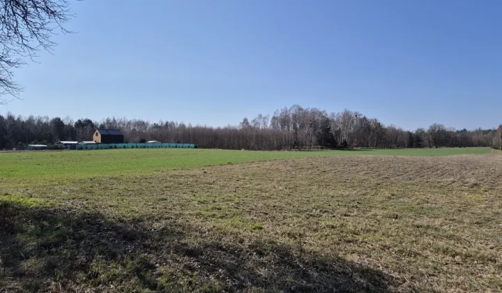 Działka rekreacyjna Chłopowo