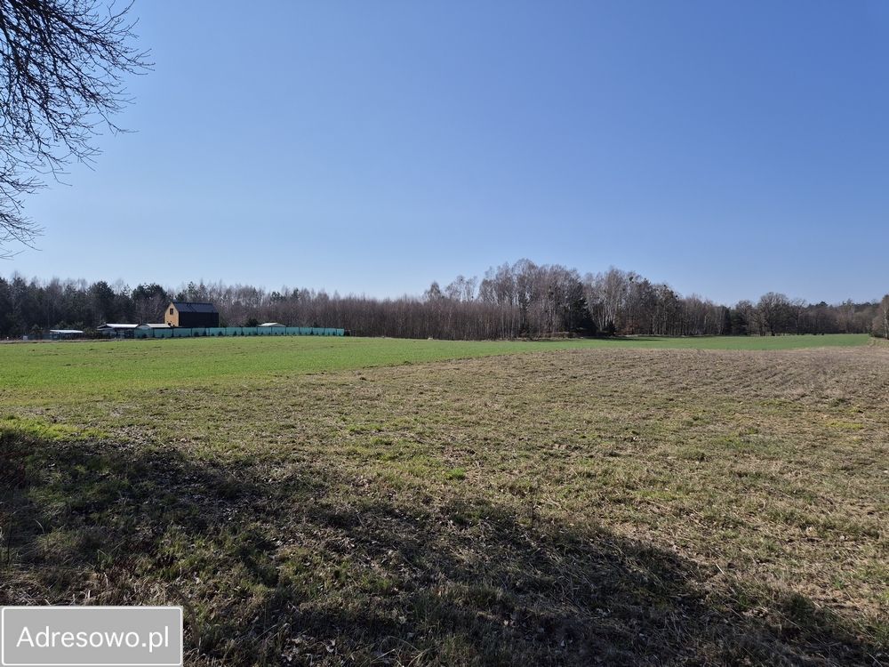 Działka rekreacyjna Chłopowo