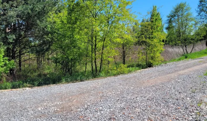 Działka budowlana Wola Ducka