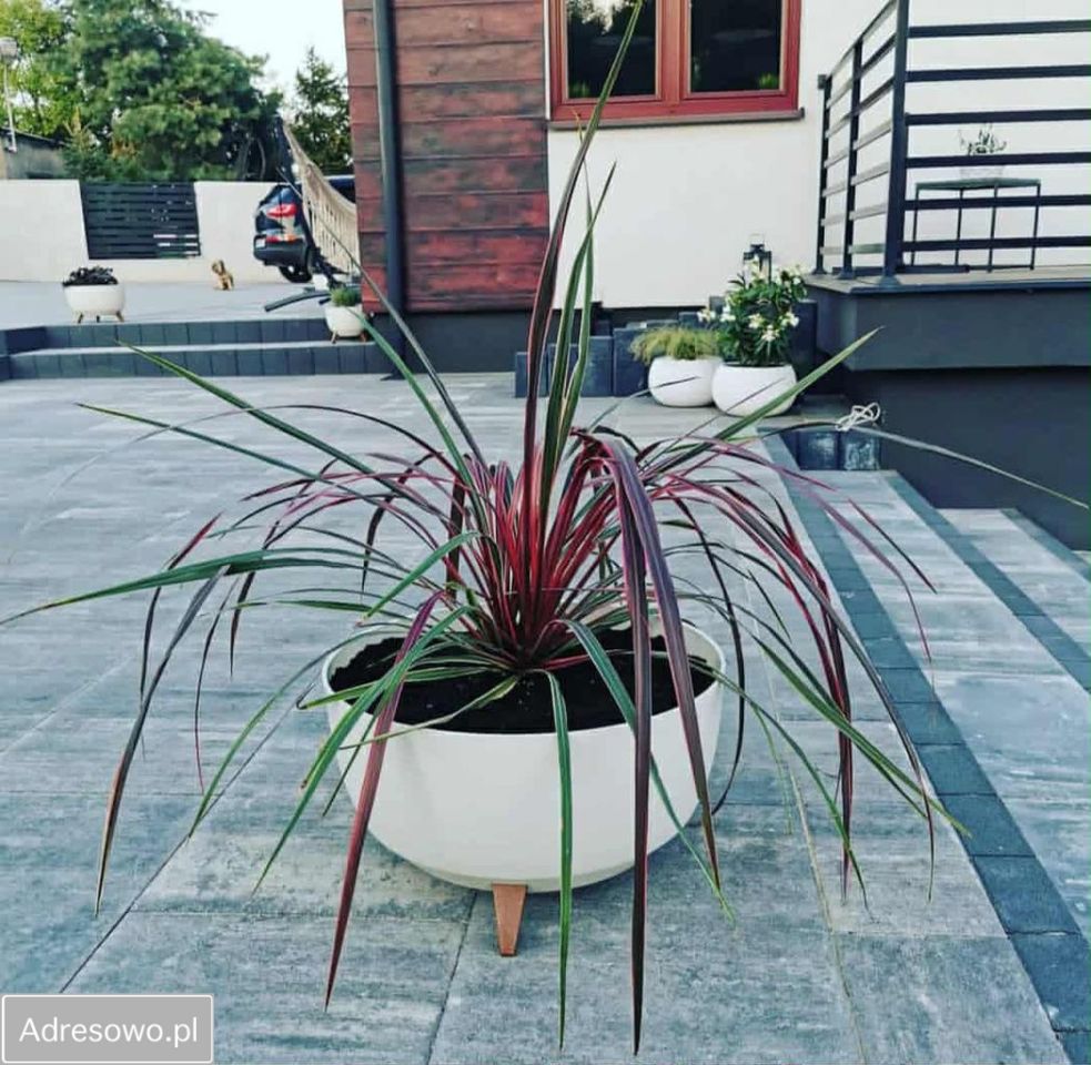 dom wolnostojący, 4 pokoje Płock. Zdjęcie 3