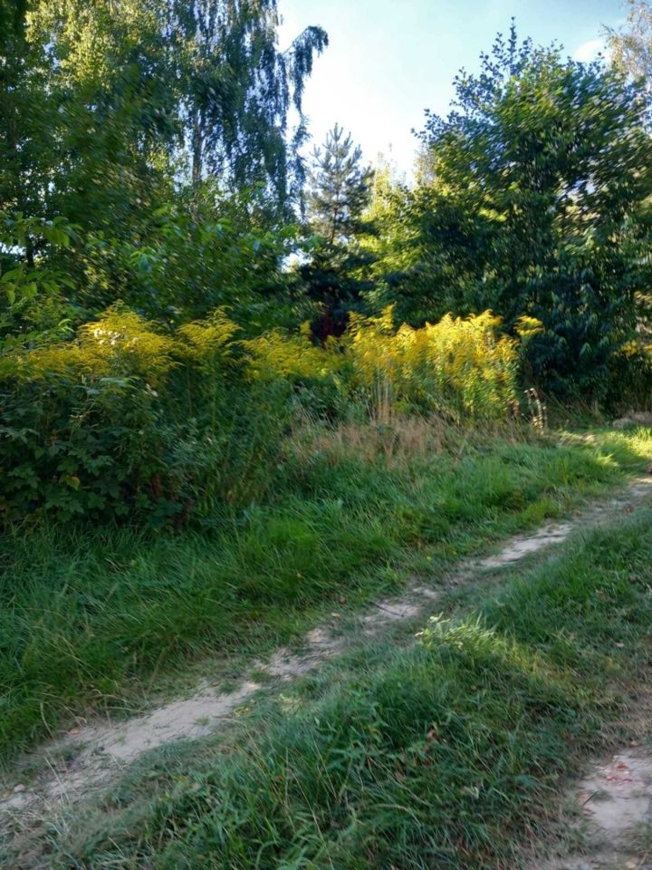 Działka budowlana Wrząca, ul. Sasankowa. Zdjęcie 1