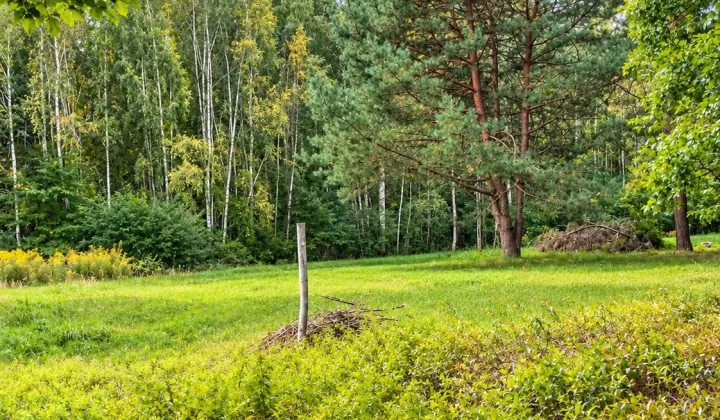 Działka budowlana Owczarnia