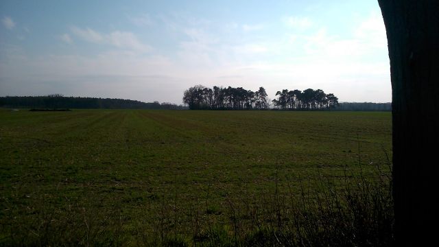 Działka budowlana Skoraszewice. Zdjęcie 1