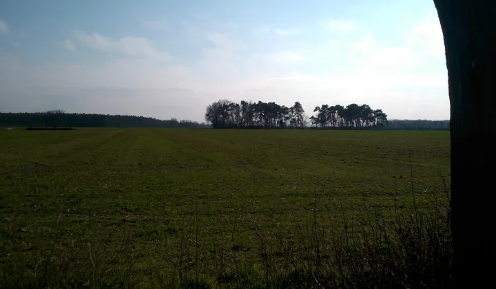 Działka budowlana Skoraszewice