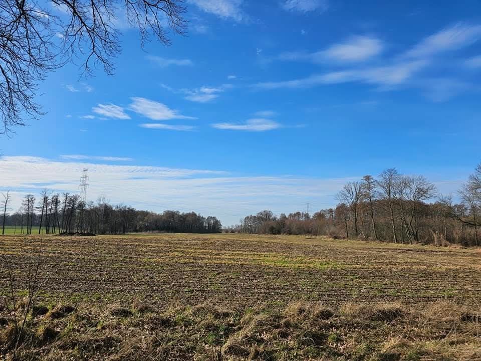 Działka budowlana Gronówko. Zdjęcie 6