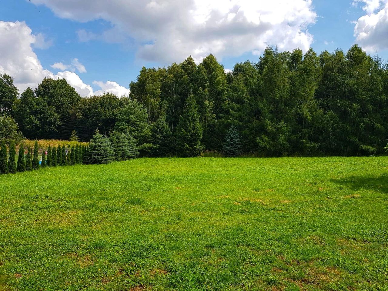 Działka rolno-budowlana Więcławice Stare, ul. Dworska