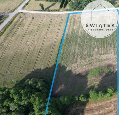 Działka rolna Zarośle Cienkie. Zdjęcie 3