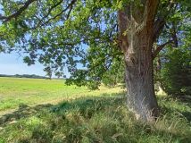 Działka budowlana Mechowo. Zdjęcie 4