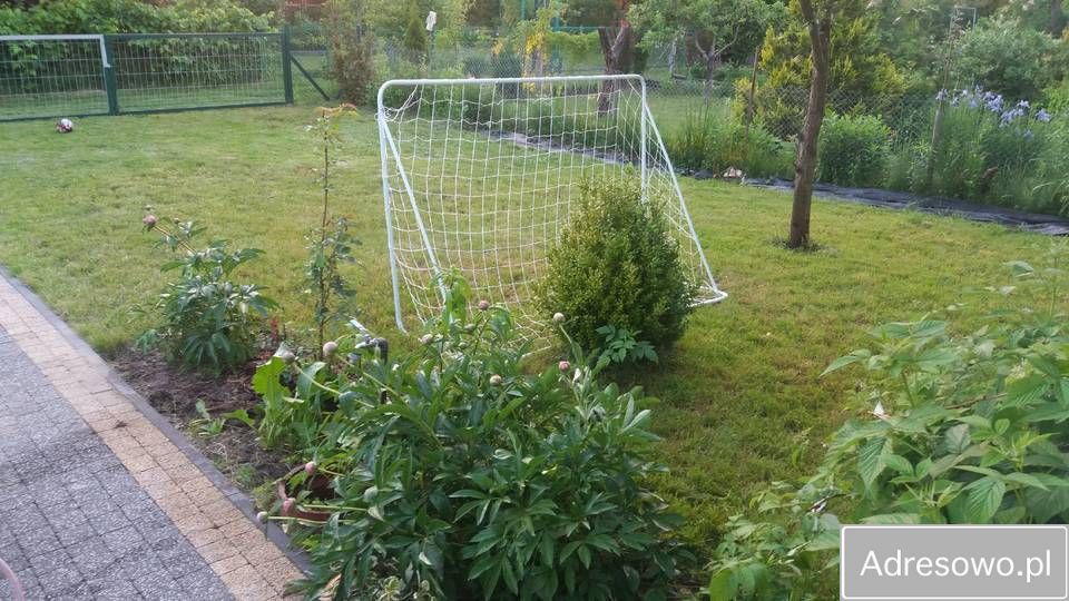 Działka rod Warszawa, ul. Na Skraju. Zdjęcie 2