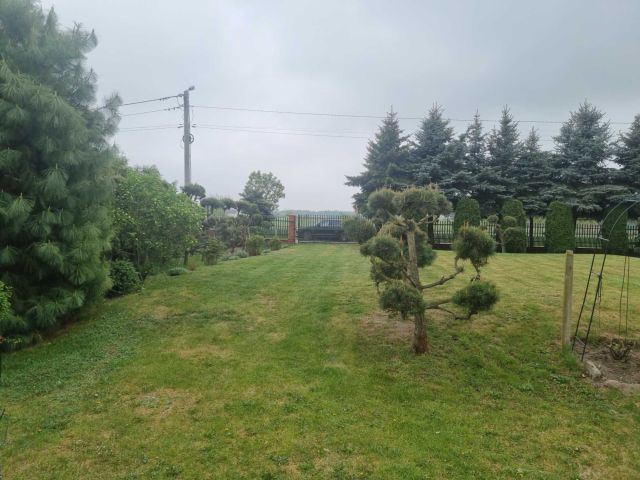 Działka budowlana Pokrzywna. Zdjęcie 1