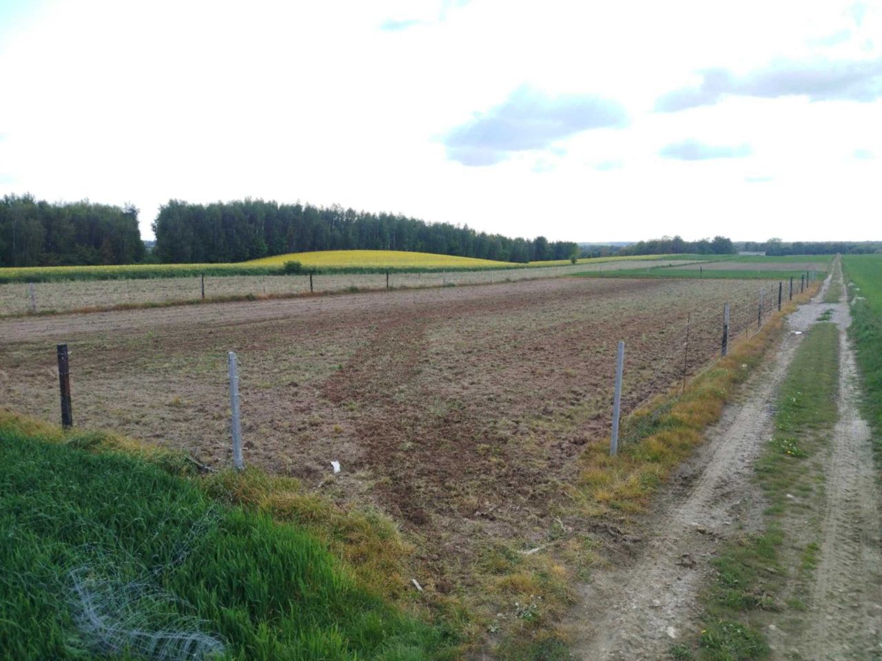 Działka rekreacyjna Nowy Gaj. Zdjęcie 2