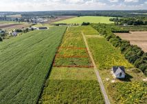 Działka budowlana Połchowo, ul. Polna. Zdjęcie 1