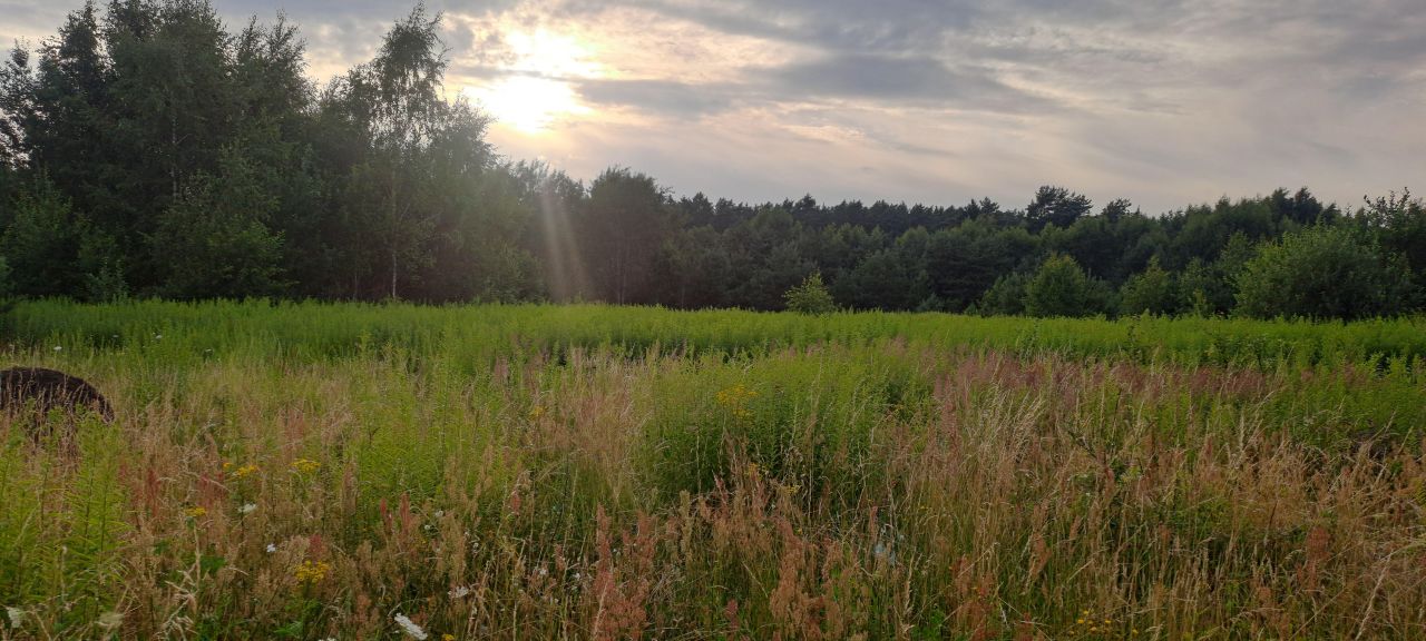 Działka budowlana Gołdap, Klimatyczna. Zdjęcie 3