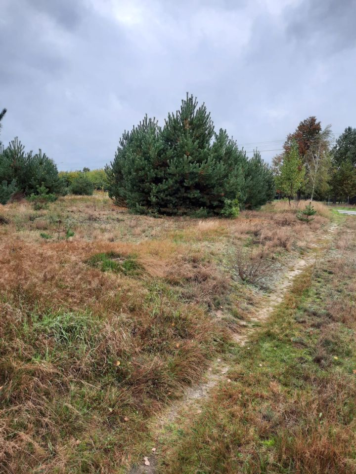 Działka rolno-budowlana Siekierka Nowa. Zdjęcie 3