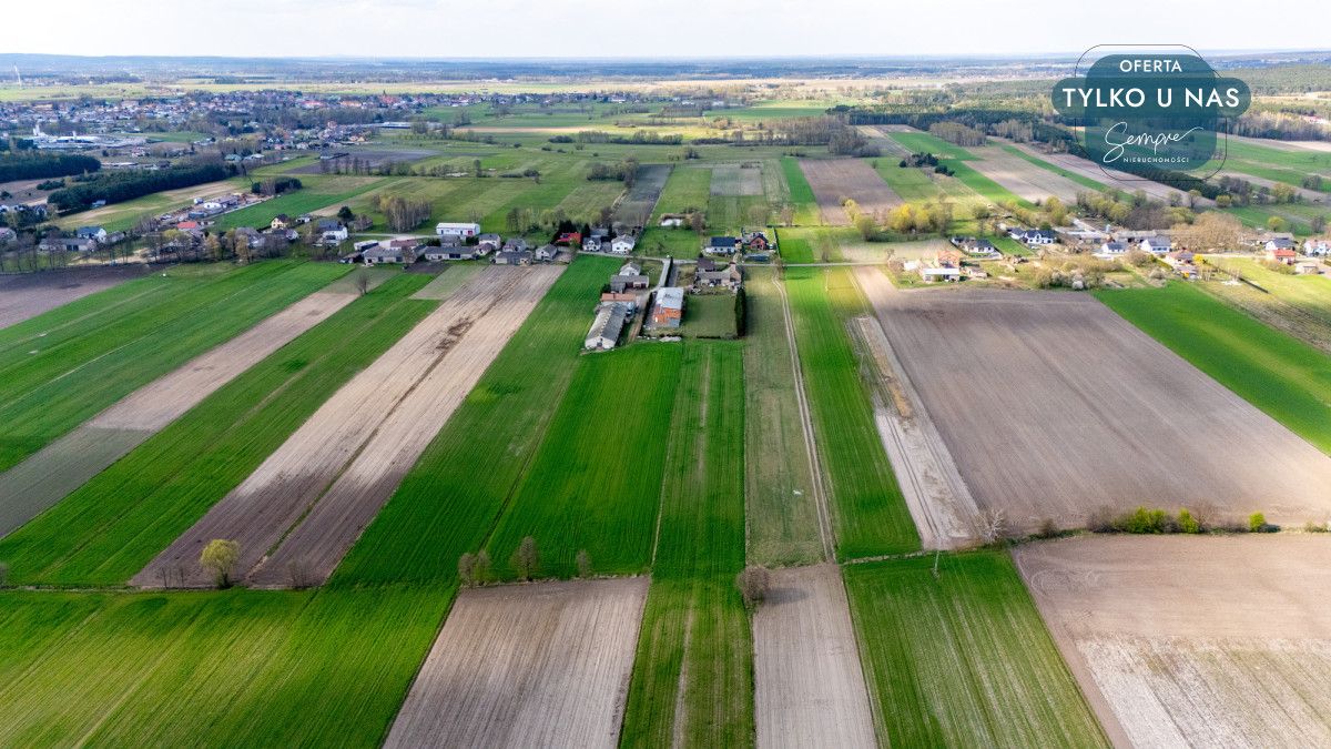 Lokal Polichno. Zdjęcie 5