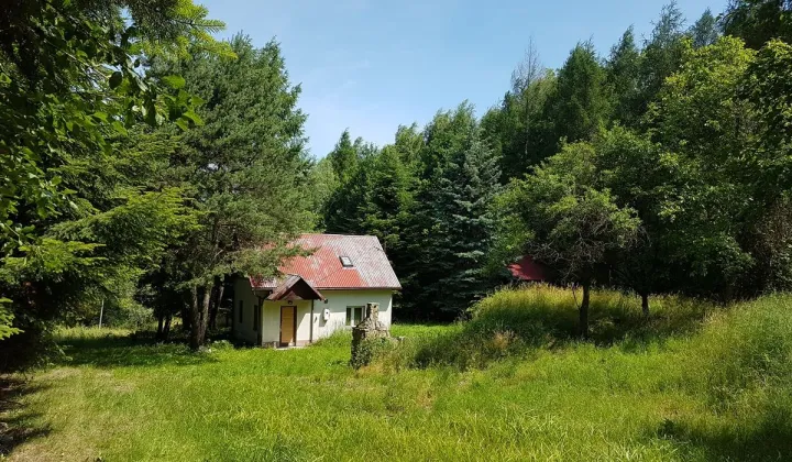 Działka inna Tyczyn, ul. Lasek