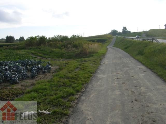 Działka budowlana Proszowice Podgórze. Zdjęcie 3