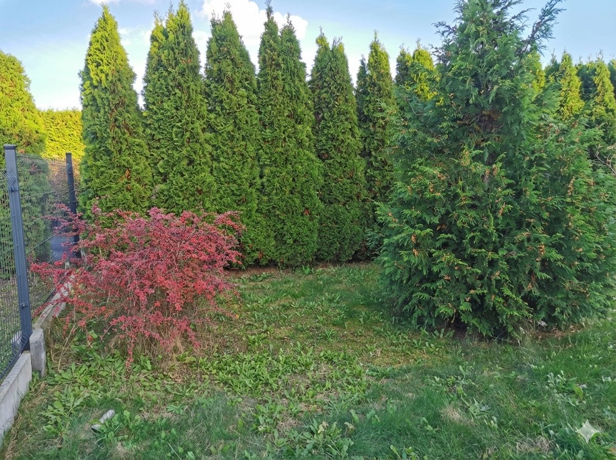 dom wolnostojący, 7 pokoi Buków, Radziszowska. Zdjęcie 5