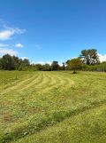 Działka budowlana Kępa Bogumiłowicka. Zdjęcie 2