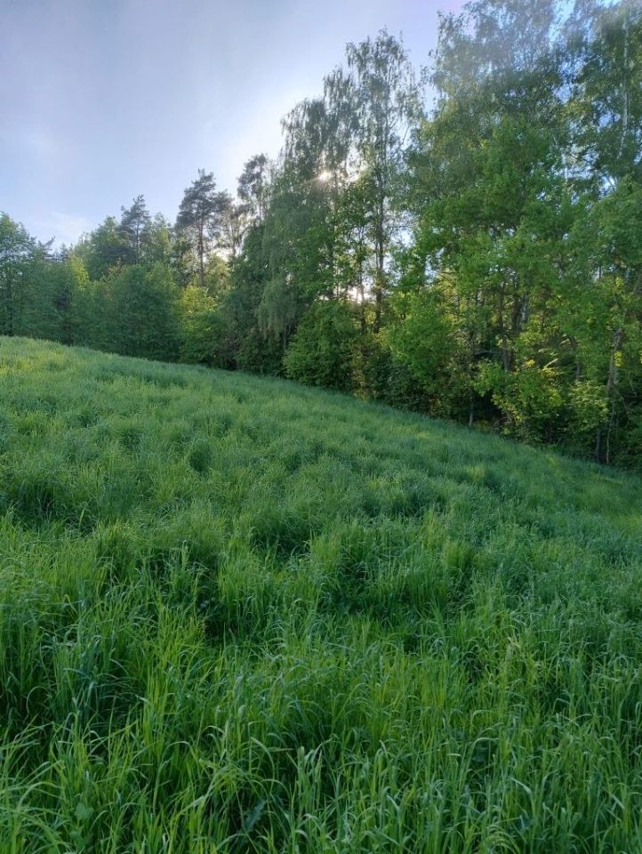 Działka budowlana Rywałd. Zdjęcie 4