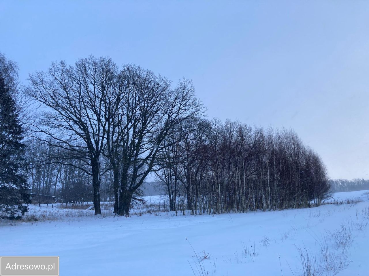 Działka inwestycyjna Miszewko. Zdjęcie 3