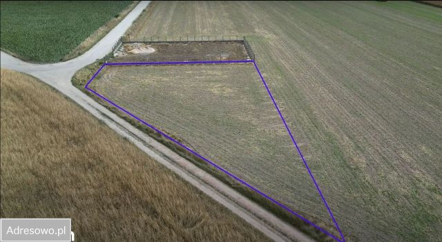 Działka budowlana Betkowo. Zdjęcie 1