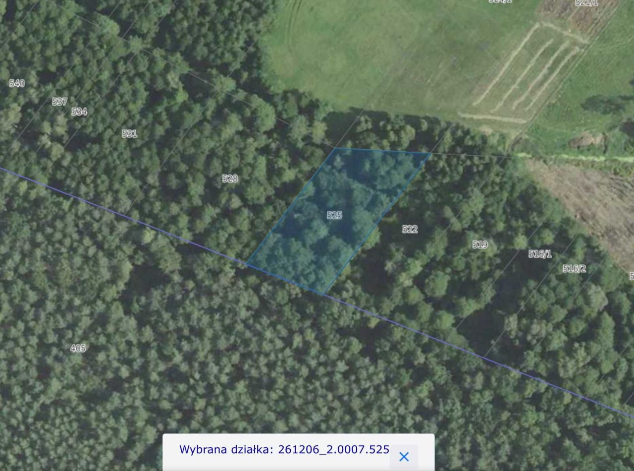 Działka Ruda. Zdjęcie 5