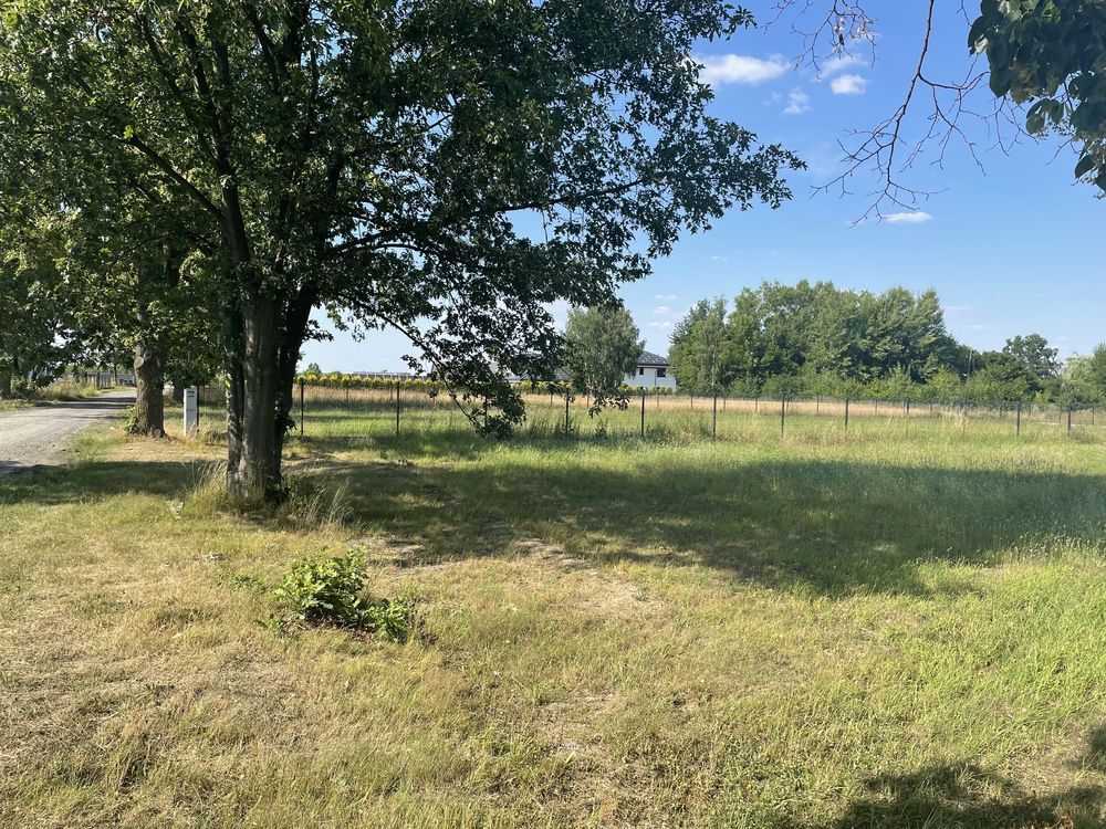 Działka budowlana Ostrów, ul. Konwaliowa. Zdjęcie 3