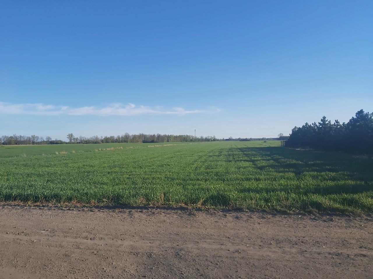 Działka rolno-budowlana Jeżówka. Zdjęcie 5