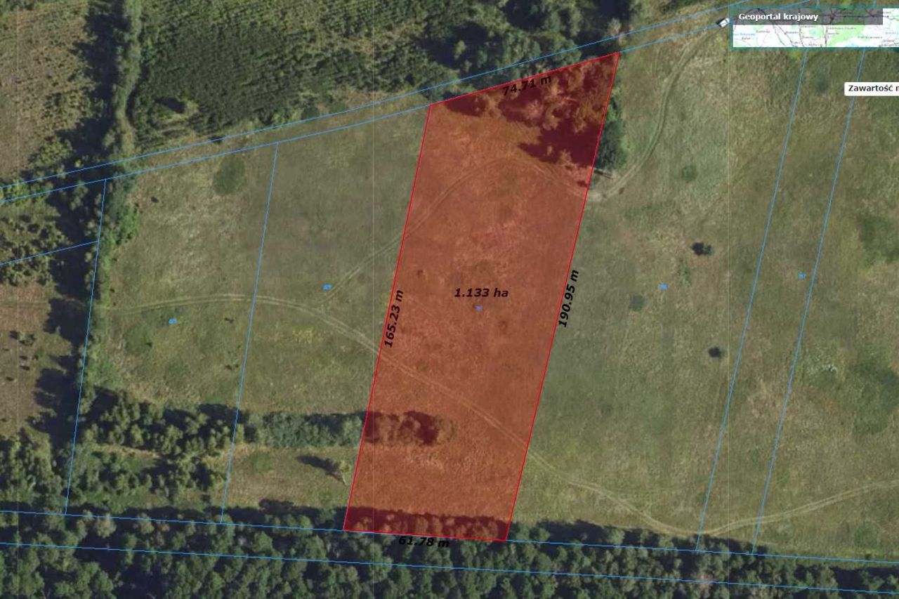 Działka rolna Jaźwiny. Zdjęcie 7