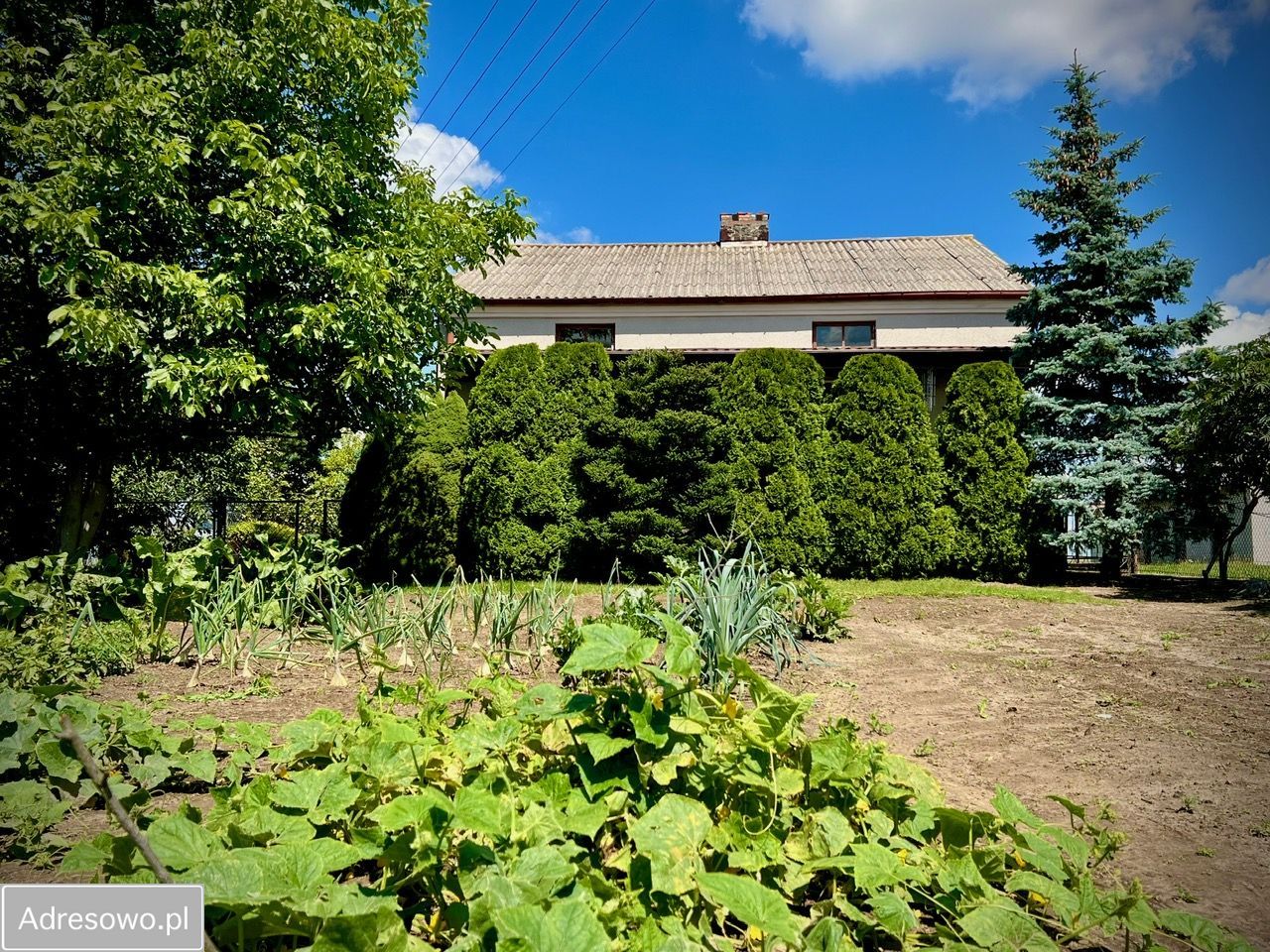 dom wolnostojący, 2 pokoje Wróble-Wargocin. Zdjęcie 18