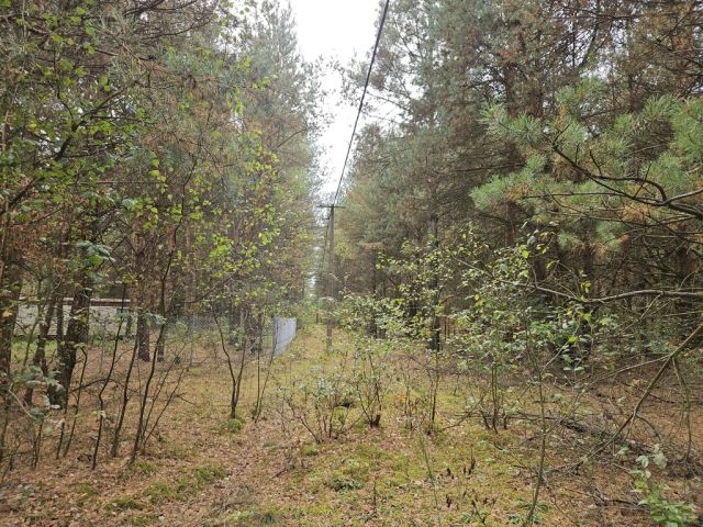 Działka rekreacyjna Sianno. Zdjęcie 17