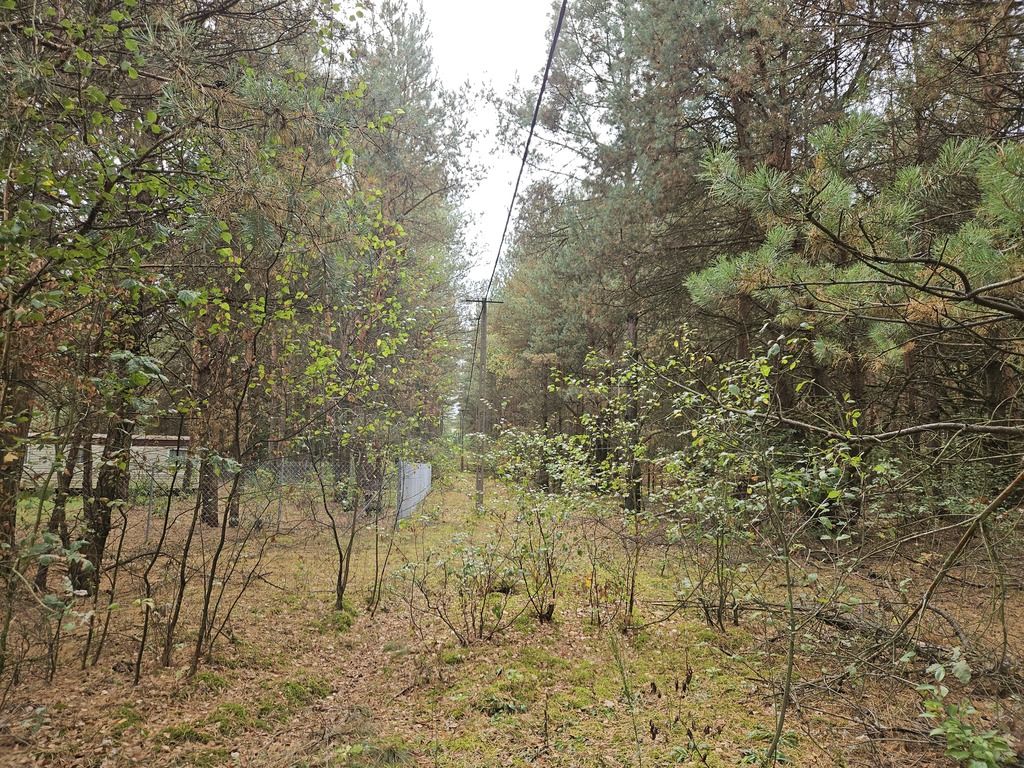 Działka rekreacyjna Sianno. Zdjęcie 17